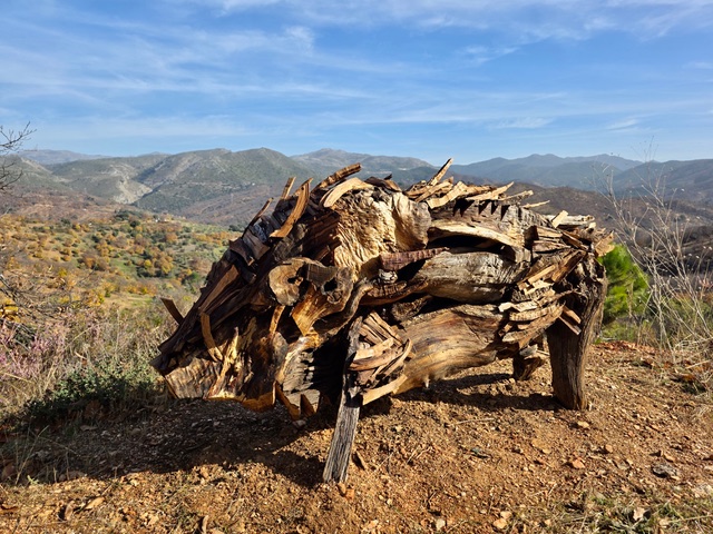 Wild boar wood sculpture by artist Diego Guerrero on la Senda Perdida. Photo © Karethe Linaae